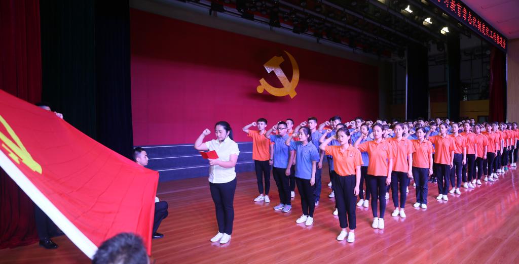 纪念建党96周年表彰大会暨“两学一做”学习教育常态化制度化推进会举行